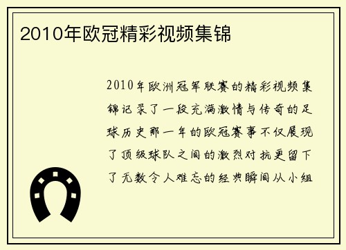 2010年欧冠精彩视频集锦